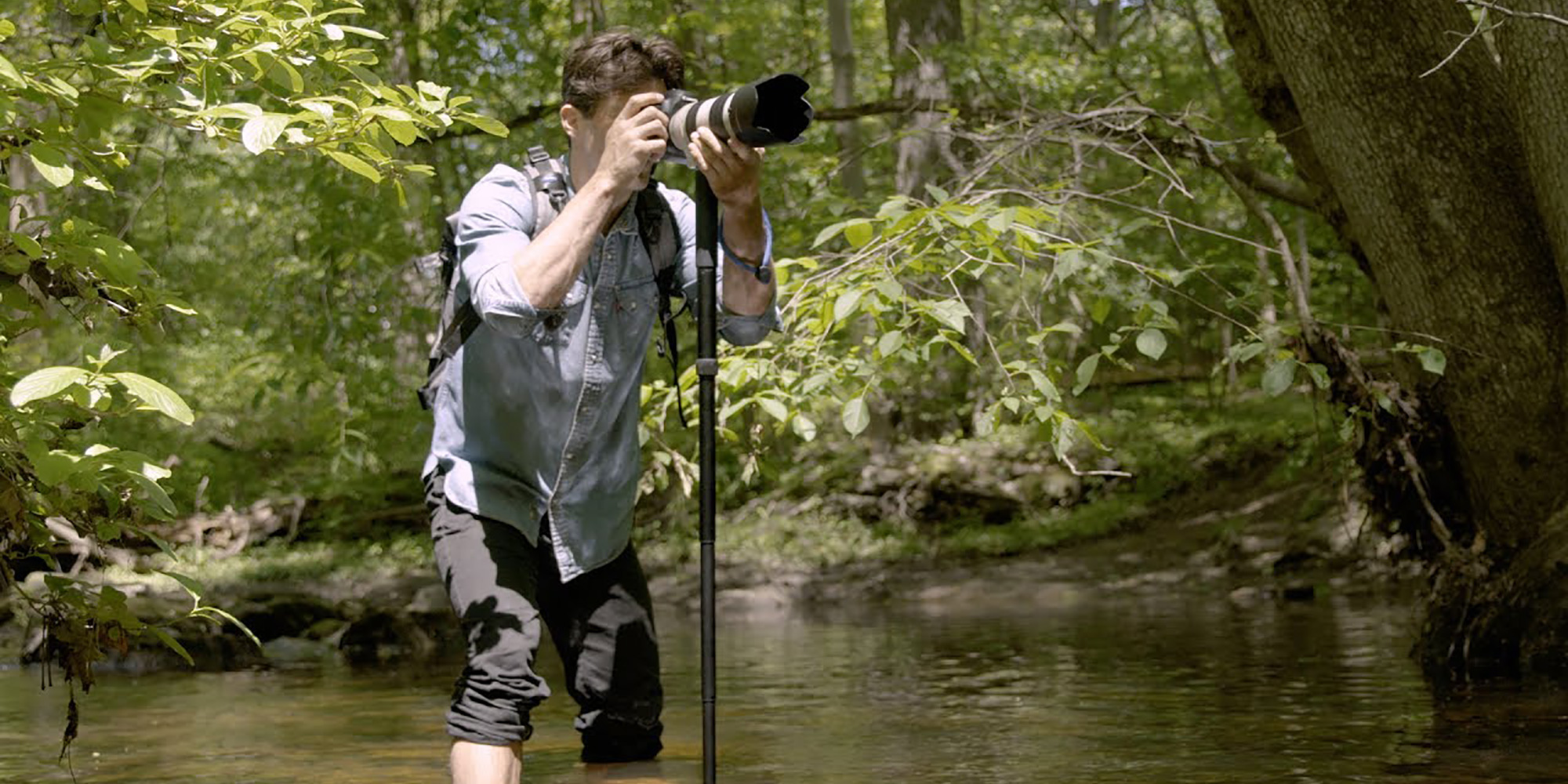 Vinaora Nivo Slider 3.x